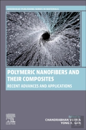 Polymeric Nanofibers And Their Composites