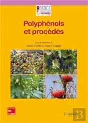 Polyphénols Et Procédés : Transformation Des Polyphénols Au Travers Des Procédés Appliqués À L'Agroalimentaire