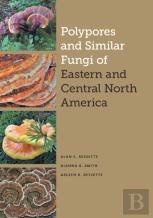 Polypores And Similar Fungi Of Eastern And Central North America