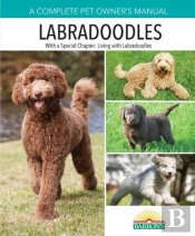 Pom Labradoodles