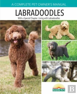 Bertrand.pt - Pom Labradoodles