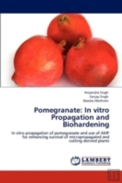 Bertrand.pt - Pomegranate