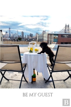 Bertrand.pt - Pomeranian Cuteness Be My Guest Book