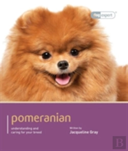 Bertrand.pt - Pomeranian - Dog Expert