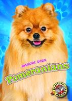 Pomeranians
