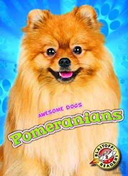 Bertrand.pt - Pomeranians