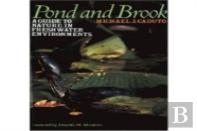 Pond And Brook