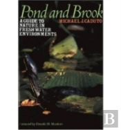 Pond And Brook