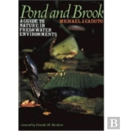 Bertrand.pt - Pond And Brook