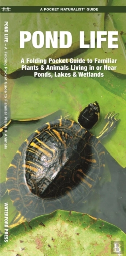 Bertrand.pt - Pond Life