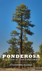 Ponderosa