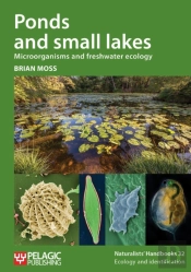 Ponds And Small Lakes