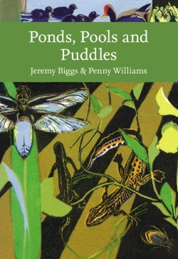 Bertrand.pt - Ponds, Pools And Puddles