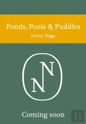 Ponds, Pools And Puddles