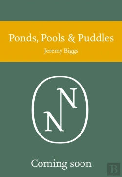 Bertrand.pt - Ponds, Pools And Puddles