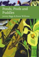 Ponds, Pools And Puddles