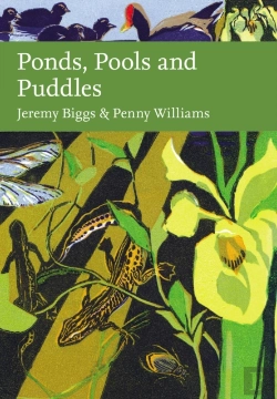 Bertrand.pt - Ponds, Pools And Puddles