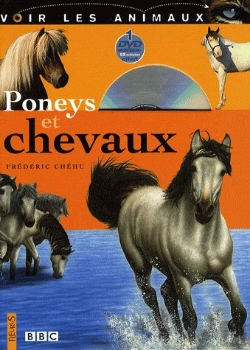 Bertrand.pt - Poneys Et Chevaux