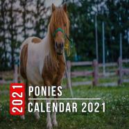 Ponies Calendar 2021