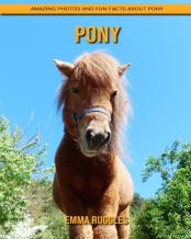 Pony