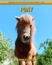 Pony