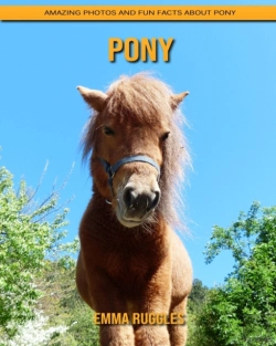 Bertrand.pt - Pony