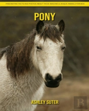 Pony
