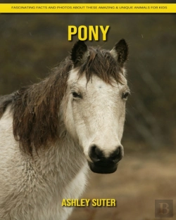 Bertrand.pt - Pony