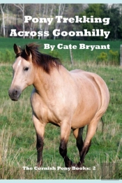 Pony Trekking Across Goonhilly