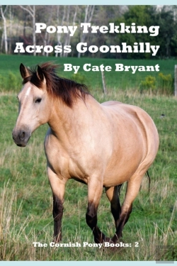 Bertrand.pt - Pony Trekking Across Goonhilly