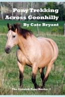 Pony Trekking Across Goonhilly