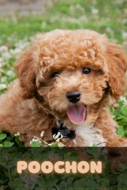 Bertrand.pt - Poochon