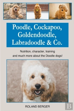 Bertrand.pt - Poodle, Cockapoo, Goldendoodle, Labradoodle & Co.