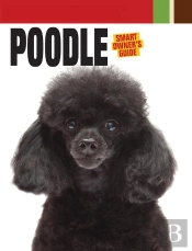 Poodle