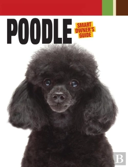 Bertrand.pt - Poodle