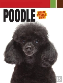 Bertrand.pt - Poodle