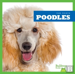 Bertrand.pt - Poodles