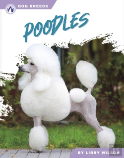 Bertrand.pt - Poodles