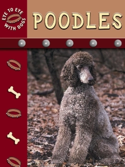 Bertrand.pt - Poodles