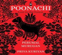 Poonachi