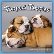 Pooped Puppies
