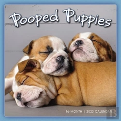 Bertrand.pt - Pooped Puppies