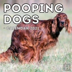 Bertrand.pt - Pooping Dogs Calendar 2021