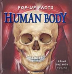 Bertrand.pt - Pop-Up Facts: Human Body