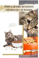 Popular Dry Sensitive Stomach Cat Foods
