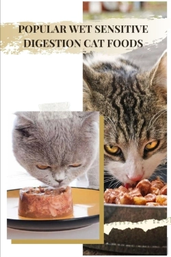 Bertrand.pt - Popular Wet Sensitive Digestion Cat Foods