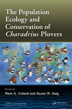 Bertrand.pt - Population Ecology And Conservation Of Charadrius Plovers