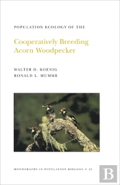 Population Ecology Of The Cooperatively Breeding Acorn Woodpecker
