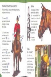Por Qué, Cómo, Cuándo Y Dónde De Los Animales