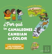 ¿Por Que Los Camaleones Cambian De Color?